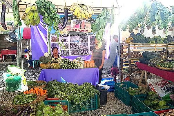 2019 Panaad sa Negros Festival - Organic produce