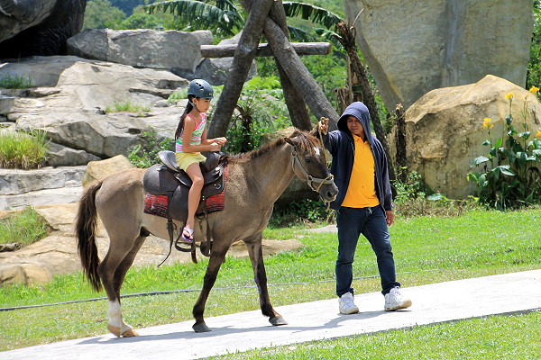 Campuestohan Horse back riding