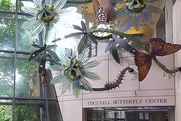 Cockrell Butterfly Center