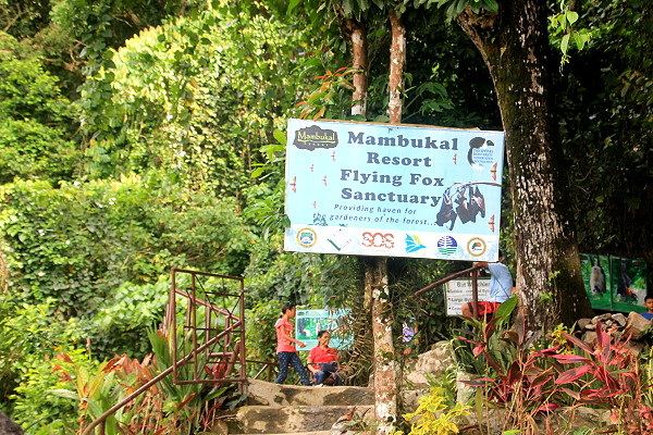 Mambukal Resort Bat Sanctuary