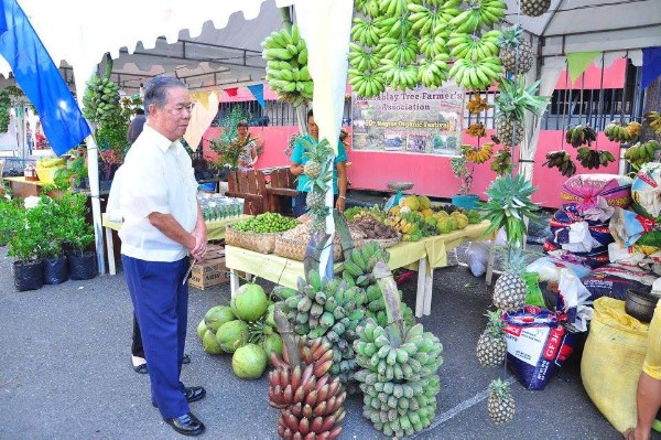 Negros Organic Festival with Gov Maranon