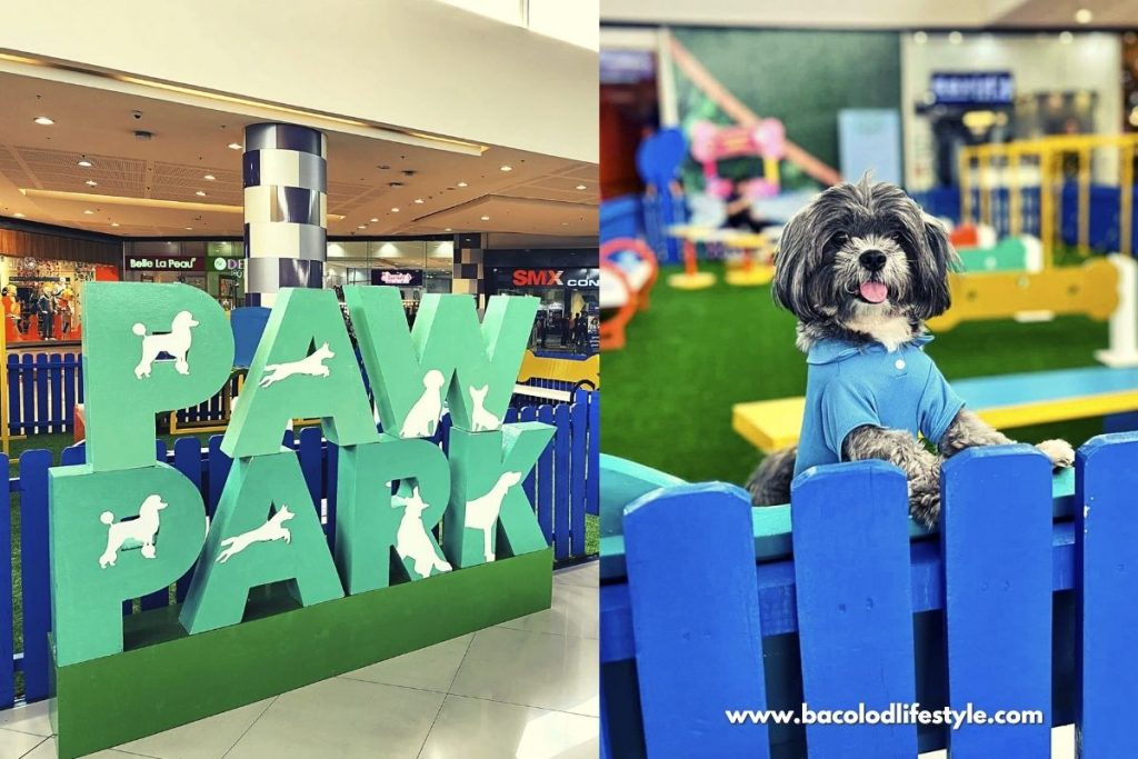 SM City Bacolod Opens Indoor Paw Park